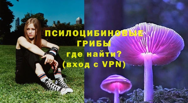 Альфа ПВП Баксан